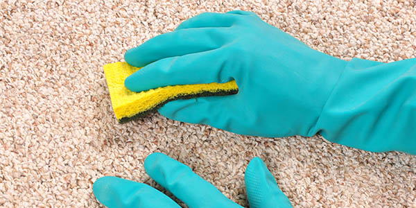 Kentish Town Carpet Cleaners | Rug Cleaning NW5 Kentish Town