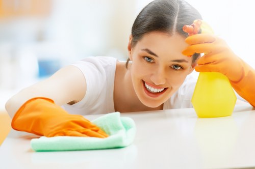 Professional carpet cleaning for a Kentishtown home interior