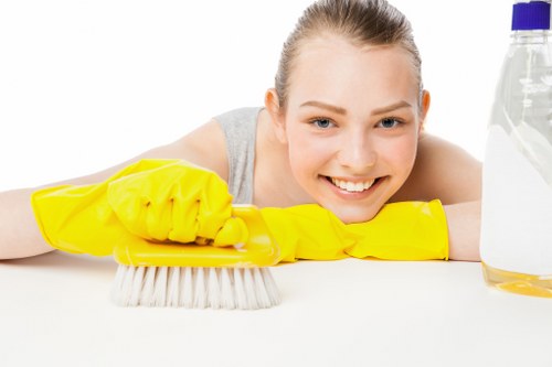 Audit process for ethical supplier management in Cleaners Kentishtown