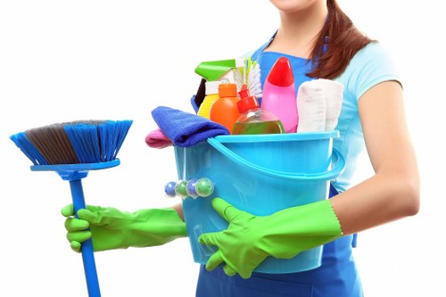 Local pet odour removal service for a flat in Kentishtown