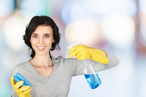 Recurring domestic cleaning visit in a Kentishtown flat