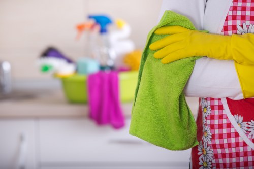 Detailed kitchen and bathroom cleaning during a one-time visit