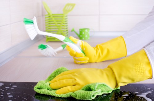 Oven cleaning service for residential and commercial customers in Kentishtown