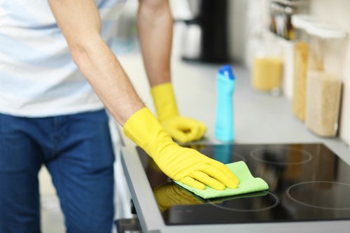 Deep cleaning upholstery affected by pet stains and smells
